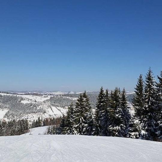 Milanova Koliba Zlatar Villa Nova Varoš Eksteriør billede